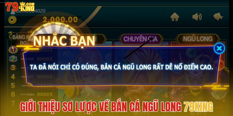 Giới thiệu sơ lược về Bắn Cá Ngũ Long 79King 